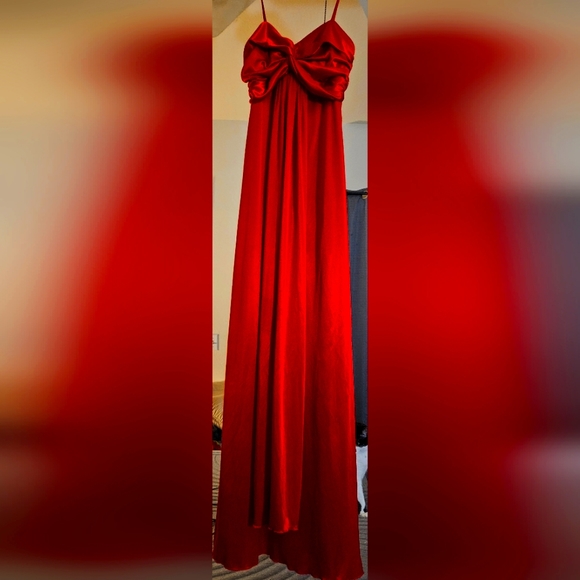 No place to wear it to - Picture 4 of 4